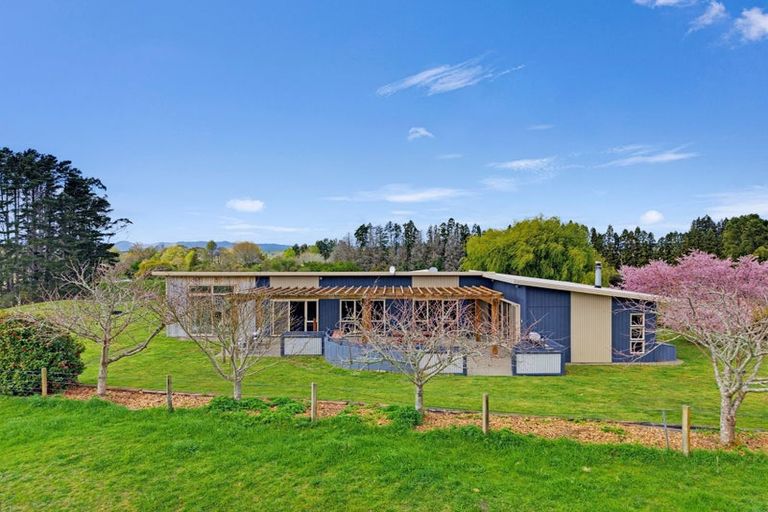 Photo of property in 4 Pukeko Lane, Rotoma, Whakatane, 3192