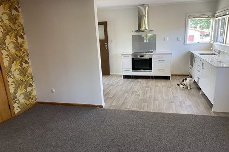 Photo of property in 223 Kennedy Road, Onekawa, Napier, 4110