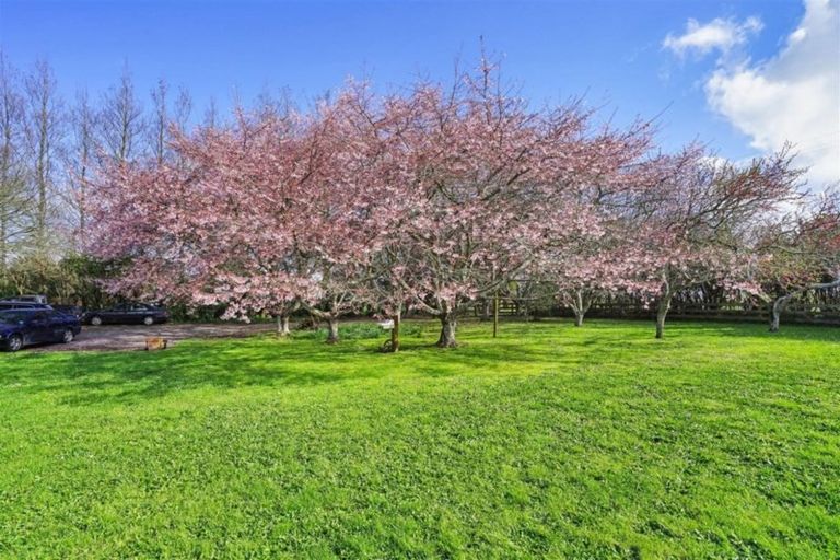 Photo of property in 1158 Tauwhare Road, Tauwhare, Hamilton, 3287