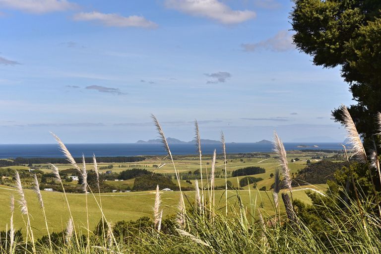 Photo of property in 79 Rangiuru Drive, Parua Bay, Onerahi, 0192