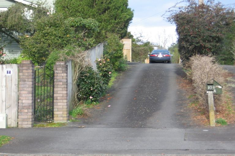 Photo of property in 103a Maeroa Road, Maeroa, Hamilton, 3200