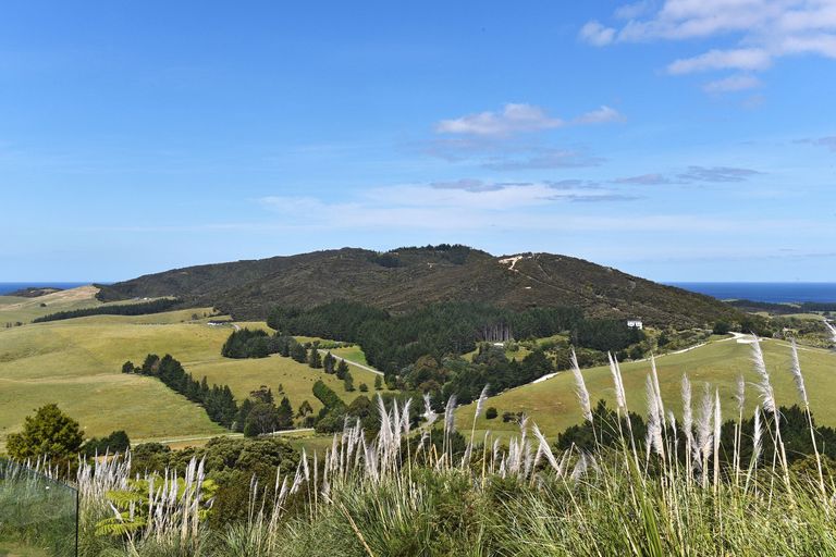 Photo of property in 79 Rangiuru Drive, Parua Bay, Onerahi, 0192