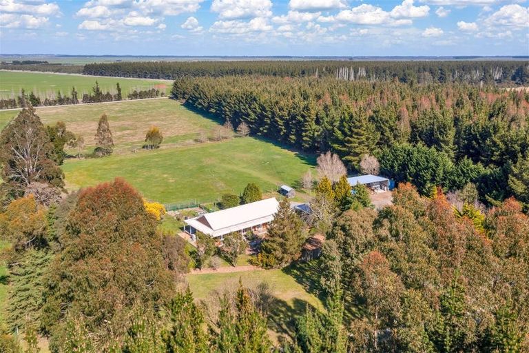 Photo of property in 524 Downs Road, Eyrewell, Rangiora, 7476