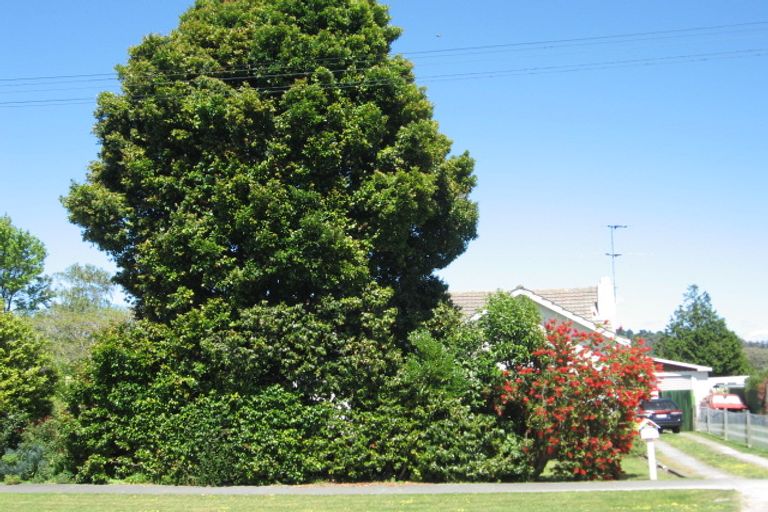 Photo of property in 10 Turenne Street, Inner Kaiti, Gisborne, 4010