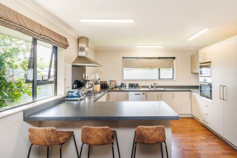 Photo of property in 346 Ruahine Street, Terrace End, Palmerston North, 4410