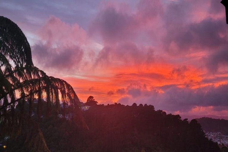 Photo of property in 152 Raroa Road, Aro Valley, Wellington, 6012