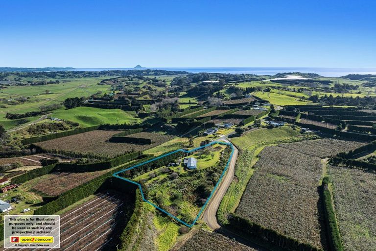 Photo of property in 501 Paerata Ridge Road, Waiotahe, Opotiki, 3198