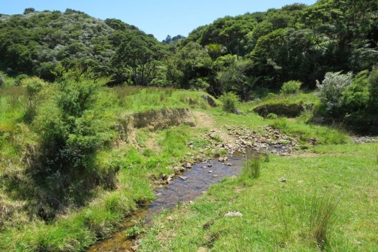 Photo of property in 880 Colville Road, Amodeo Bay, Coromandel, 3584