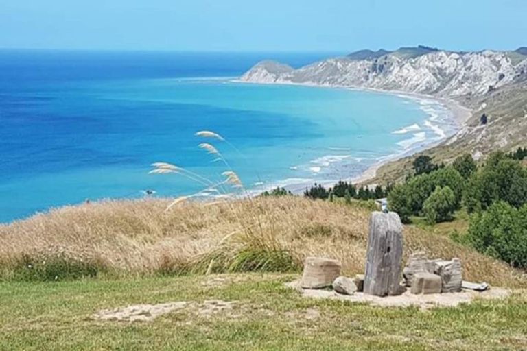 Photo of property in 919 Mangakuri Road, Elsthorpe, 4295