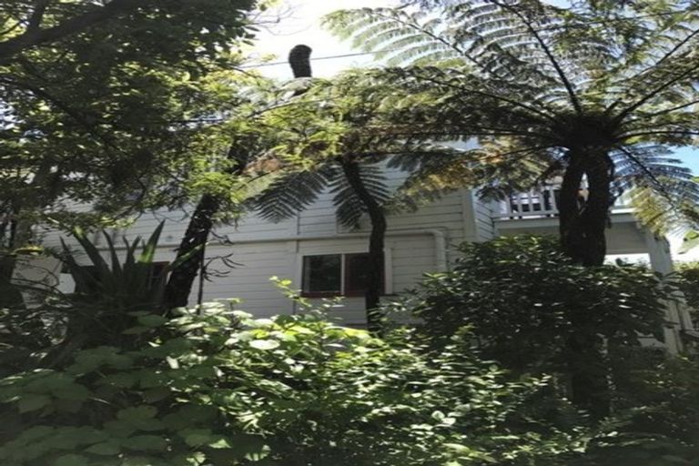 Photo of property in 59 Aurora Terrace, Hillcrest, Hamilton, 3216