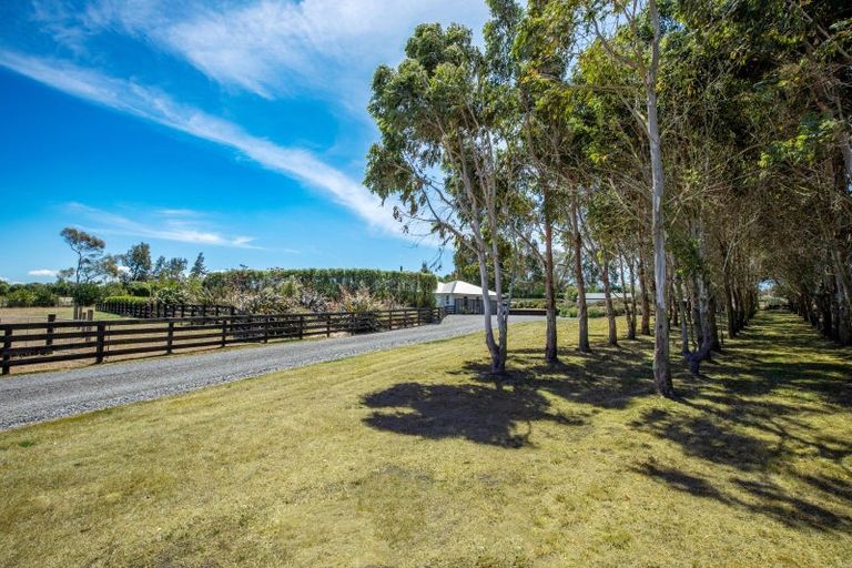 Photo of property in 243c Racecourse Road, Waipukurau, 4282