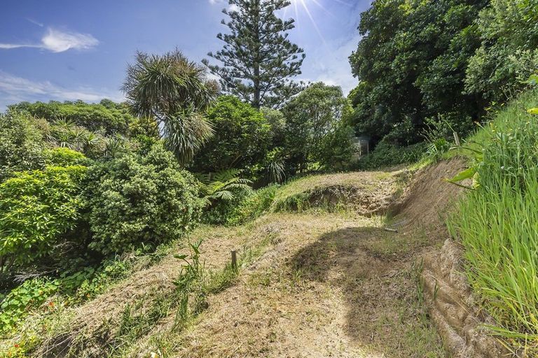 Photo of property in 3a Busaco Road, Hataitai, Wellington, 6021