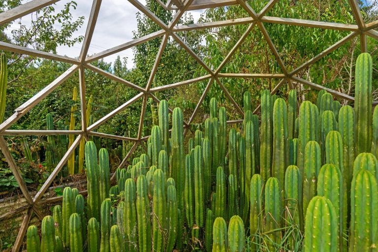 Photo of property in 784 Glenroy Road, Whangara, Gisborne, 4073