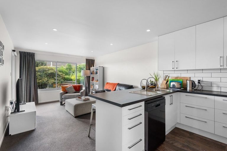 Photo of property in 19c Sheen Street, Roslyn, Dunedin, 9010