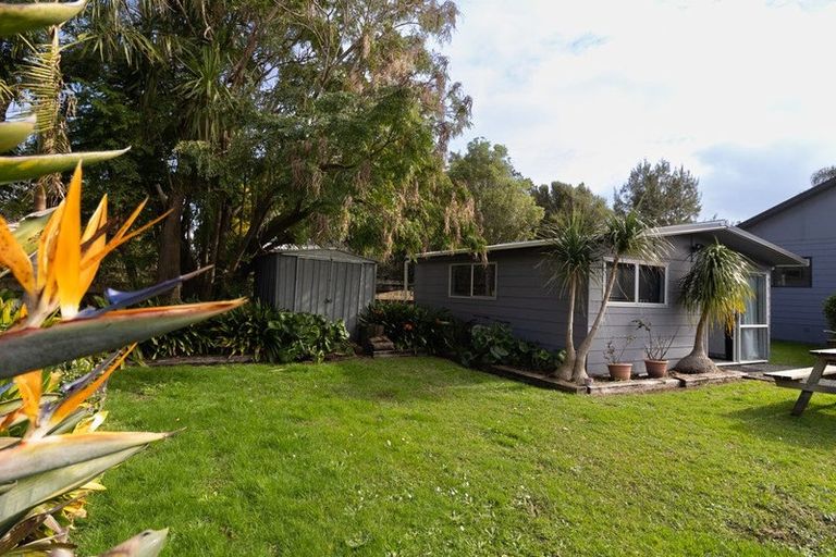 Photo of property in 24 Moir Street, Mangawhai, 0505