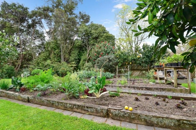 Photo of property in 37 Montrose Crescent, Huntington, Hamilton, 3210