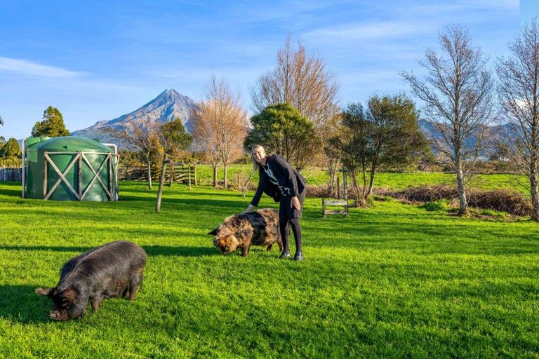Photo of property in 83 Peters Road, Kaimiro, Inglewood, 4386