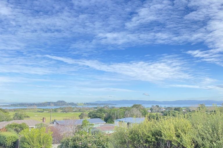 Photo of property in 115 Wallace Road, Mangere Bridge, Auckland, 2022