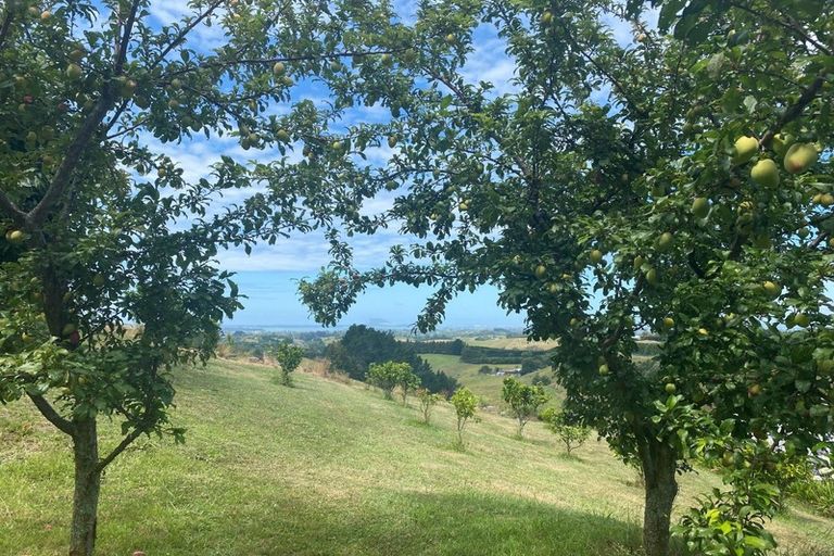 Photo of property in 236 Waipapa Block Road, Whakamarama, Tauranga, 3180