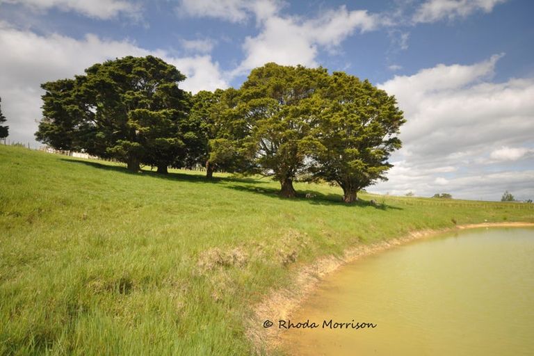 Photo of property in 69 Matakohe Wharf Road, Matakohe, 0593