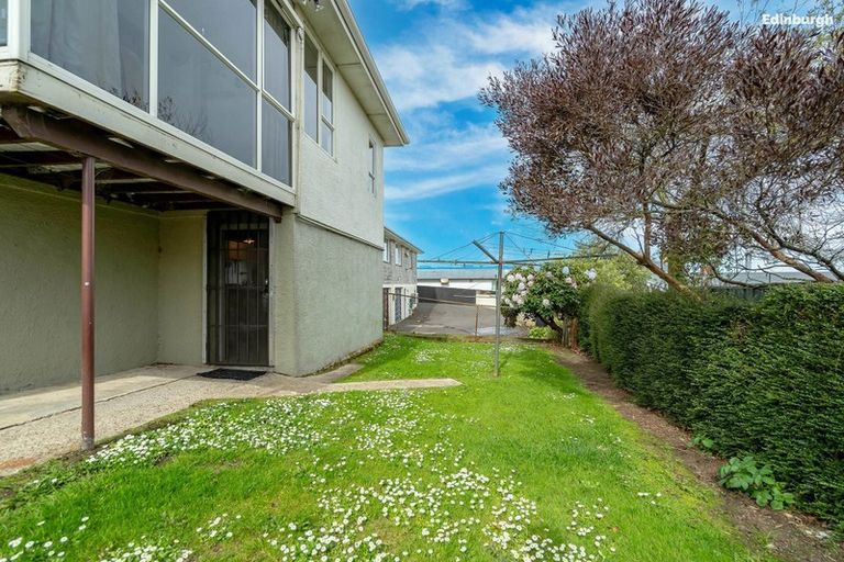 Photo of property in 163 Eglinton Road, Mornington, Dunedin, 9011