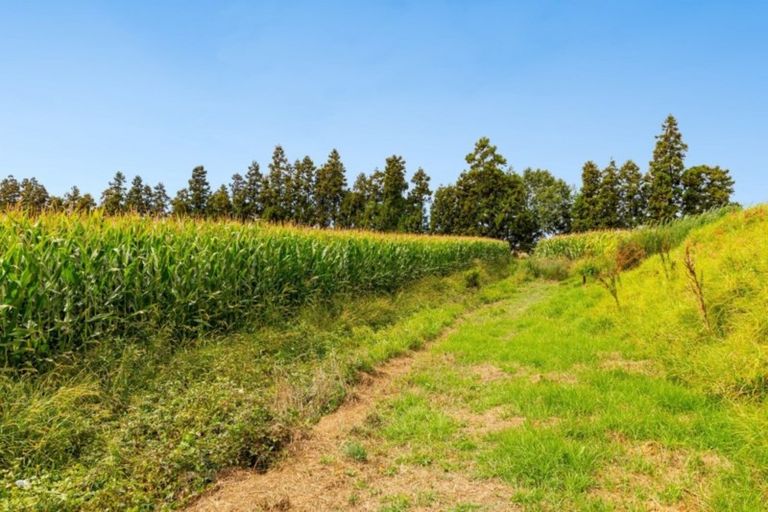 Photo of property in 76 Bell Road, Papamoa, 3187