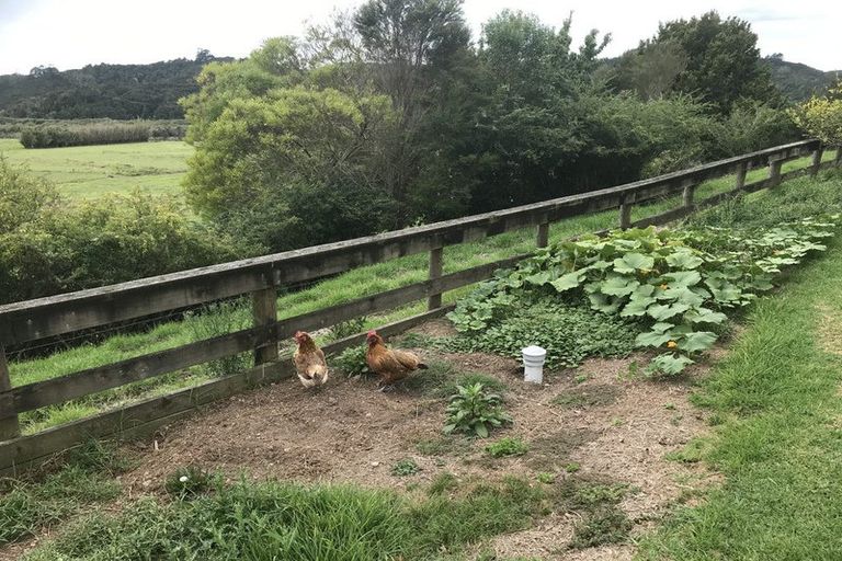 Photo of property in 245 Waikare Road, Kawakawa, 0282