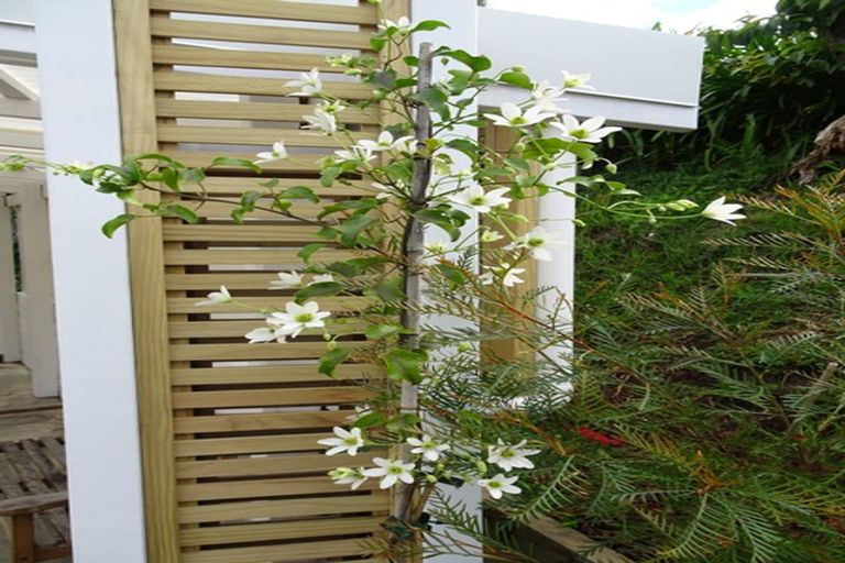 Photo of property in 5 Dundonald Street, Riverside, Whangarei, 0112