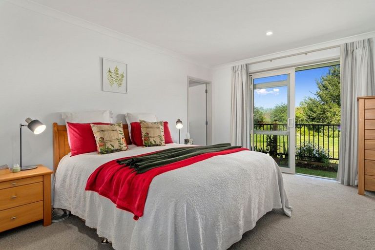 Photo of property in 43 Parau Drive, Bethlehem, Tauranga, 3110