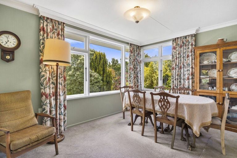 Photo of property in 47 Signal Hill Road, Opoho, Dunedin, 9010