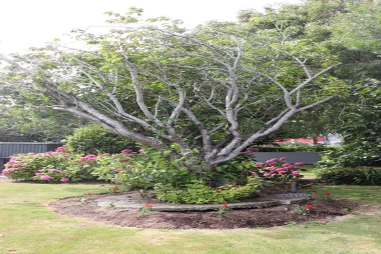 Photo of property in 431 Yarrow Street, Glengarry, Invercargill, 9810