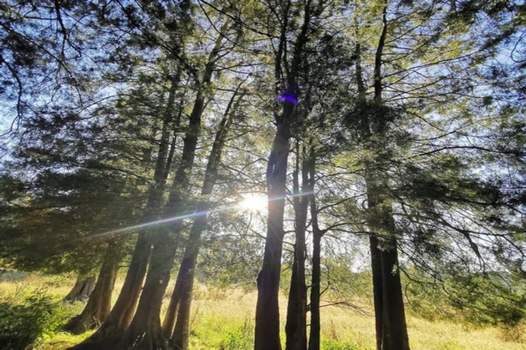 Photo of property in 1 Takapari Road, Pohangina, Ashhurst, 4884