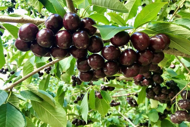 Photo of property in 190 Airport Road, Alexandra, 9391