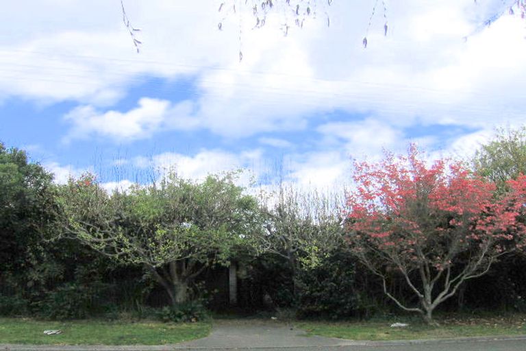 Photo of property in 55 Shepherd Road, Waipahihi, Taupo, 3330