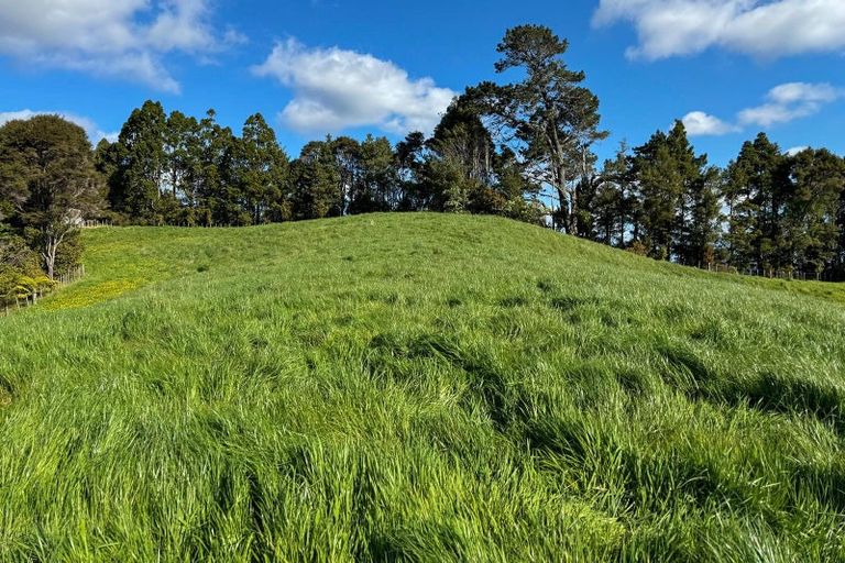 Photo of property in 208 Sunnyside Road, Coatesville, Albany, 0793