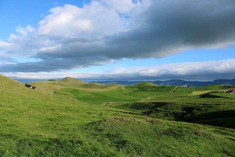 Photo of property in 38 Rule Road, Dannevirke, 4930