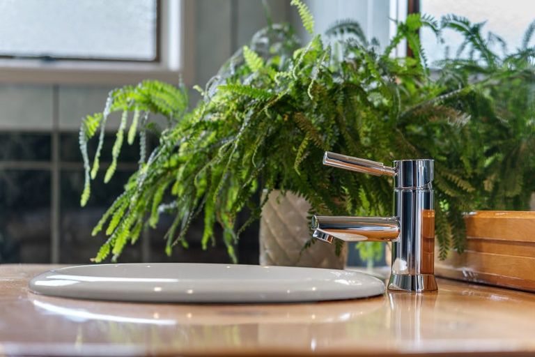 Photo of property in 22 Oaklea Lane, Tamahere, Hamilton, 3283