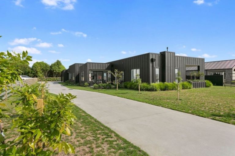 Photo of property in 3 Alan Livingston Drive, Cambridge, 3434