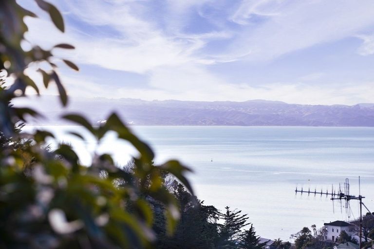 Photo of property in 21a Lincoln Road, Bluff Hill, Napier, 4110