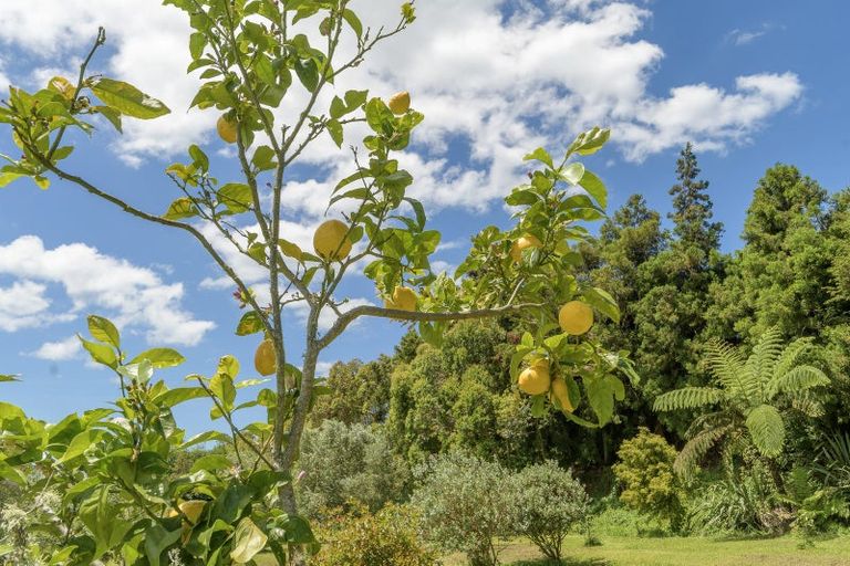 Photo of property in 44a Martray Road, Tahawai, Katikati, 3170