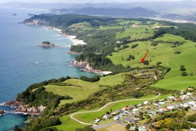 Photo of property in 341 Onemana Drive, Onemana, Whangamata, 3691