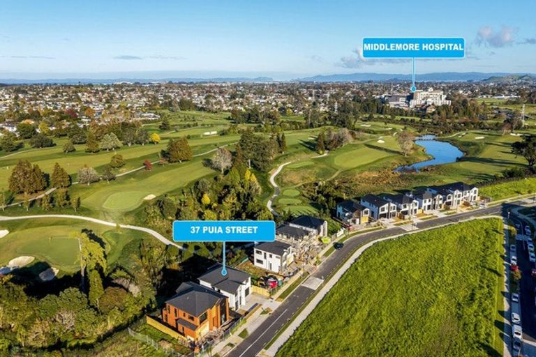 Photo of property in 37 Puia Street, Papatoetoe, 2025
