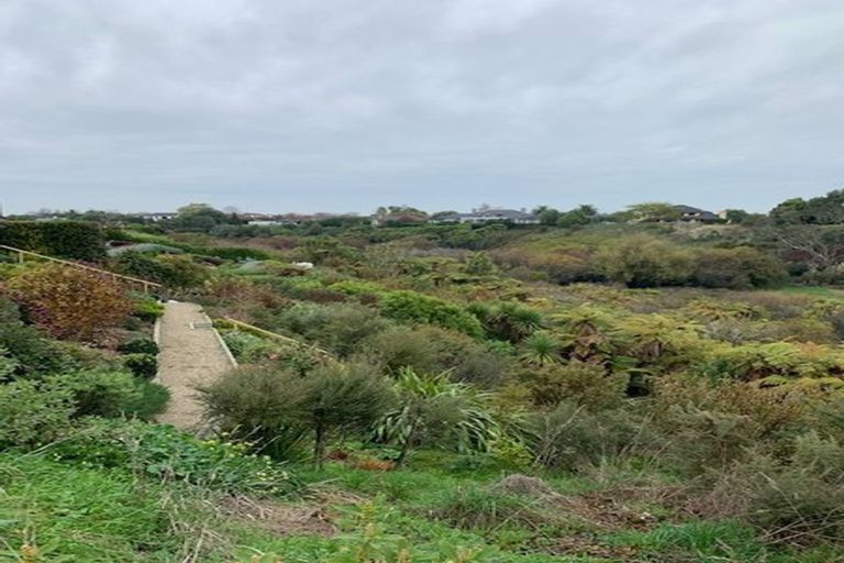 Photo of property in 51 Roy Hilton Drive, Flagstaff, Hamilton, 3210