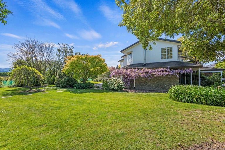 Photo of property in 8 Ashford Grove, Rapaura, Blenheim, 7273