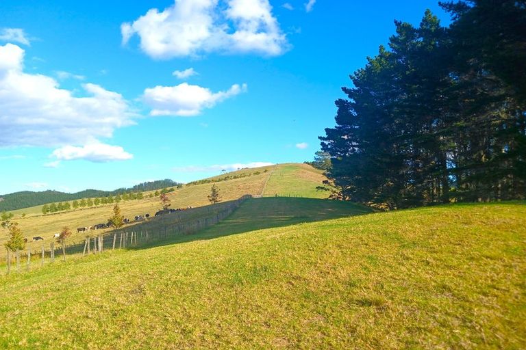 Photo of property in 99 Paranui Road, Taipa, Kaitaia, 0483