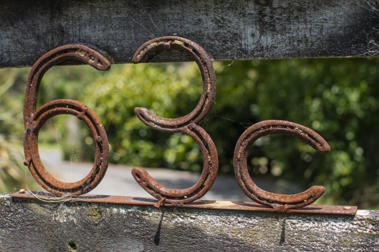 Photo of property in 63c Lowe Road, Whakamarama, Tauranga, 3180