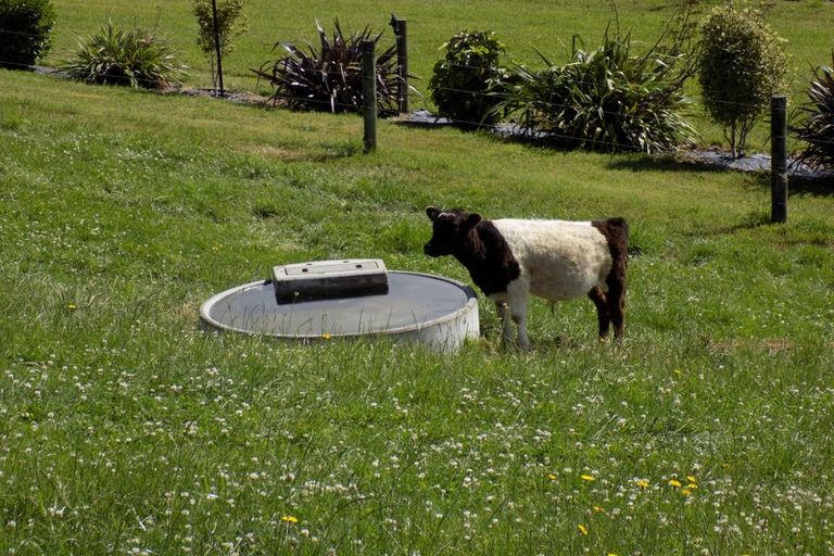Photo of property in Whirinaki Valley Road, Ngakuru, Rotorua, 3077