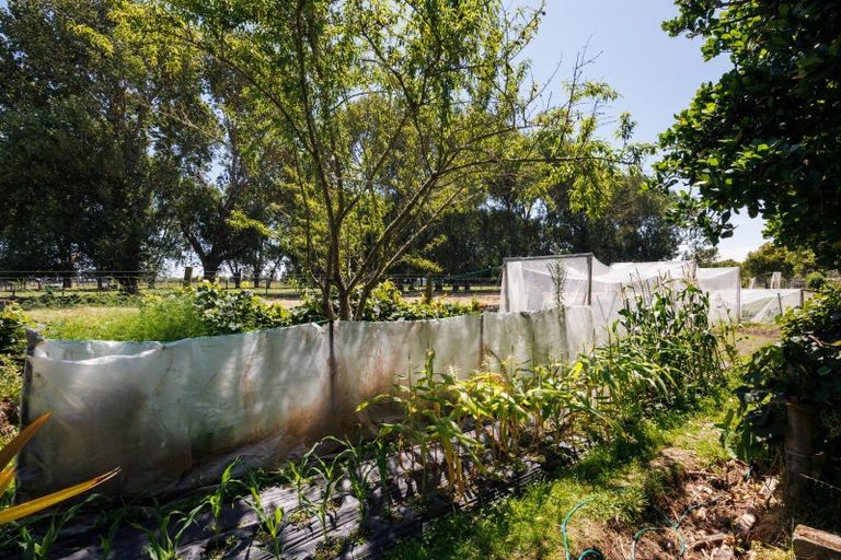 Photo of property in 154 Oroua Road, Kairanga, Palmerston North, 4475