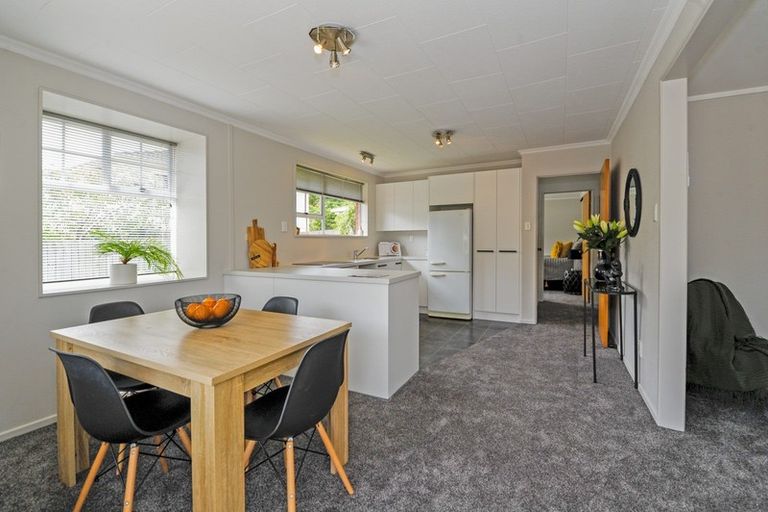 Photo of property in 19a Carlton Street, North East Valley, Dunedin, 9010