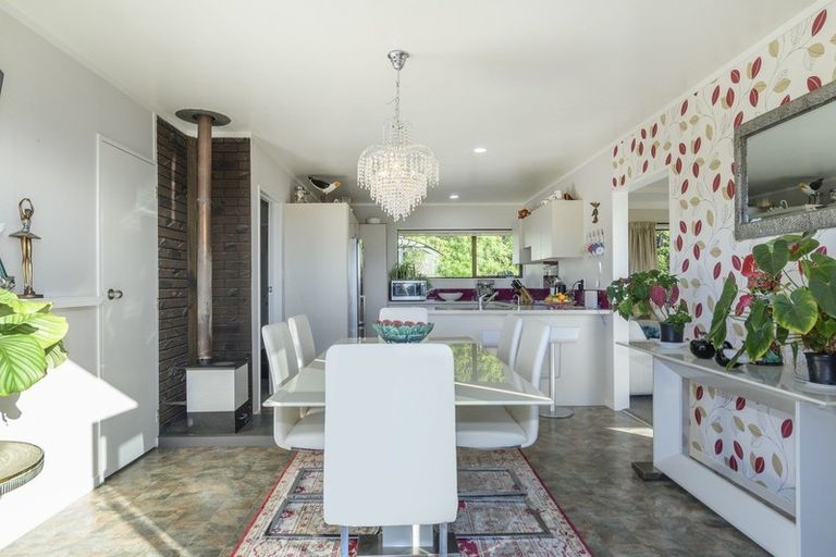 Photo of property in 313 Youngson Road, Whakamarama, Tauranga, 3179